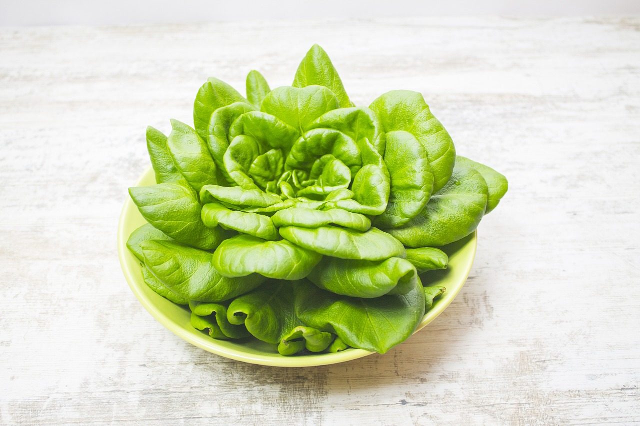 Čerstvé ingredience u smaragdové řeky