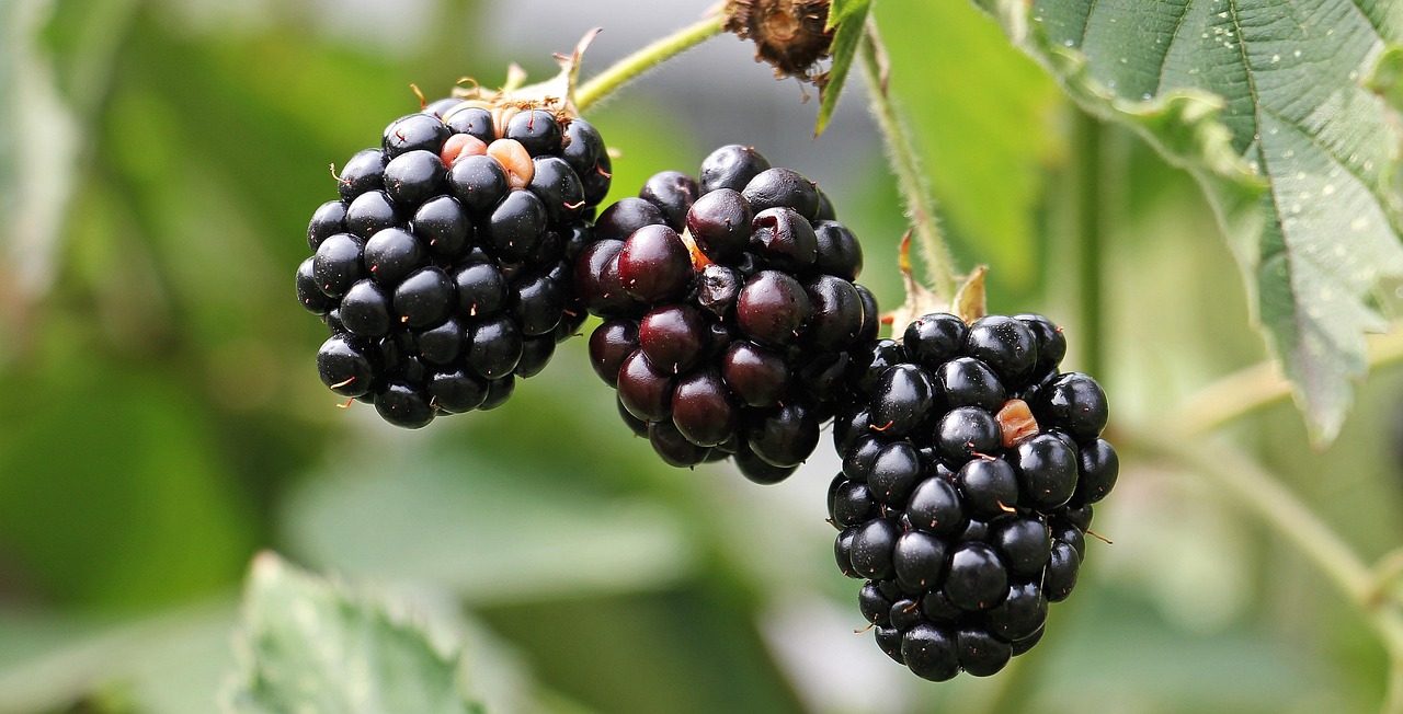 Smaragdová řeka – příroda a wellness